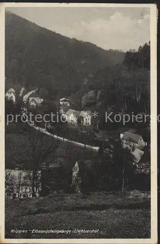 Krippen Bad Schandau Liethental Elbsandsteingebirge Kat. Bad Schandau