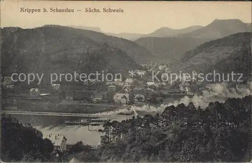 Krippen Bad Schandau Panorama Elbe Elbsandsteingebirge Kat. Bad Schandau