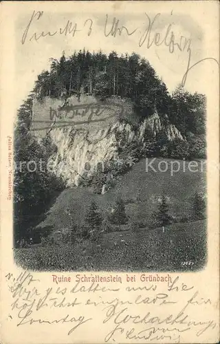 Gruenbach Schneeberg Ruine Schrattenstein / Gruenbach am Schneeberg /Niederoesterreich-Sued
