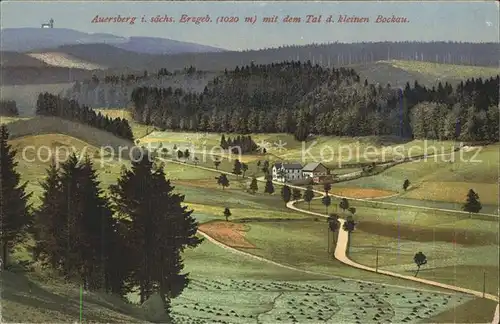 Auersberg Wildenthal Panorama mit dem Tal der kleinen Bockau Kat. Eibenstock