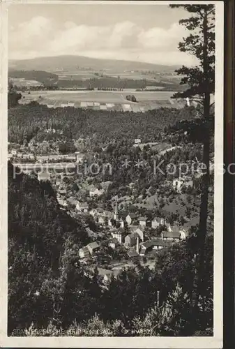 Krippen Bad Schandau Totalansicht Kat. Bad Schandau