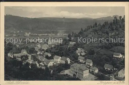 Krippen Bad Schandau Totalansicht Elbepartie Kat. Bad Schandau