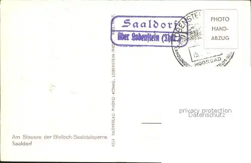 Saalburg Saale Am Stausee der Bleiloch Saaletalsperre Kat. Saalburg Ebersdorf