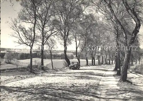 Egestorf Nordheide Landschaft Lueneburger Heide Baumallee Kupfertiefdruck Kat. Egestorf