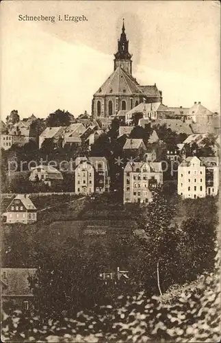 Schneeberg Erzgebirge Ortsansicht mit Kirche vom Schrebergarten aus gesehen Kat. Schneeberg