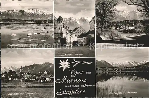 Murnau Markt Seehausen Zugspitze Seerosen Kat. Murnau a.Staffelsee