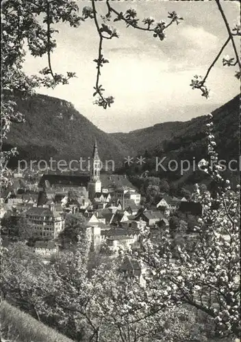 Urach Schwarzwald  Kat. Voehrenbach