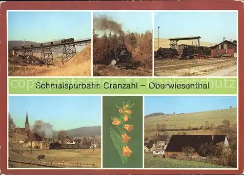 Oberwiesenthal Erzgebirge Schmalspurbahn Cranzahl Viadukt Bergfahrt Kretscham Rothensehma Kat. Oberwiesenthal
