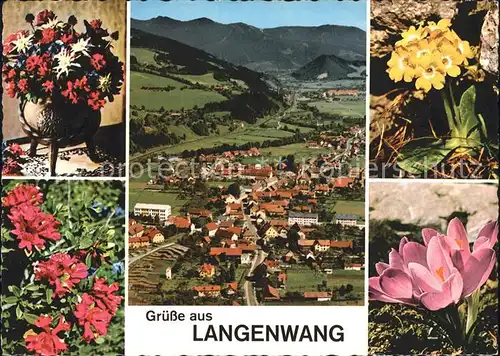 Langenwang Steiermark Blumen  Kat. Langenwang