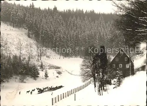 Schmallenberg Wittgenstein Wildfuetterung am Forsthaus Ihrige Kat. Schmallenberg