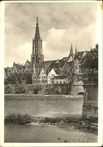 Ulm Donau mit Muenster Kat. Ulm