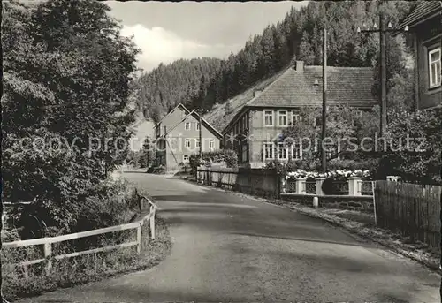 Steinheid Neumannsgrund Kat. Steinheid