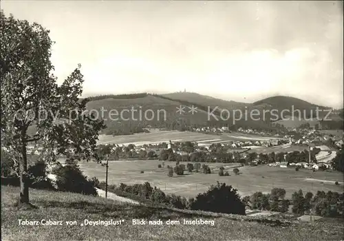 Tabarz Cabarz von Deysinslust  mit Inselsberg Kat. Tabarz Thueringer Wald