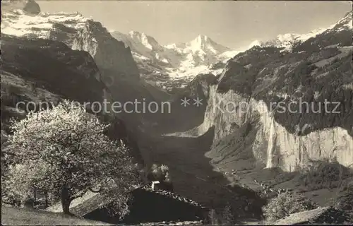 Lauterbrunnental Grosshorn und Breithorn Kat. Lauterbrunnen