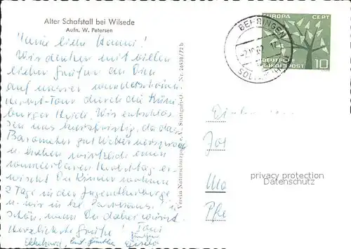 Wilsede Lueneburger Heide alter Schafstall mit Schafen / Bispingen /Soltau-Fallingbostel LKR
