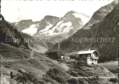 Hollersbach Pinzgau Edelweisshuette im Hollersbachtal Kat. Hollersbach im Pinzgau