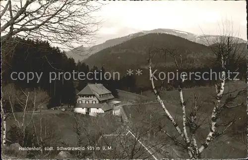 Neuenweg Haldenhof Gasthaus Pension Kat. Neuenweg