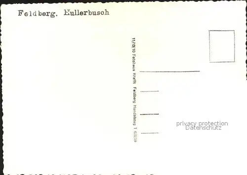 Feldberg Taunus Hullberbusch Kat. Schmitten