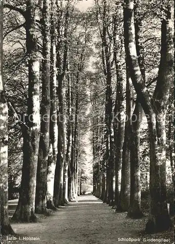 Eutin Schlossparkt Lindenallee Kat. Eutin