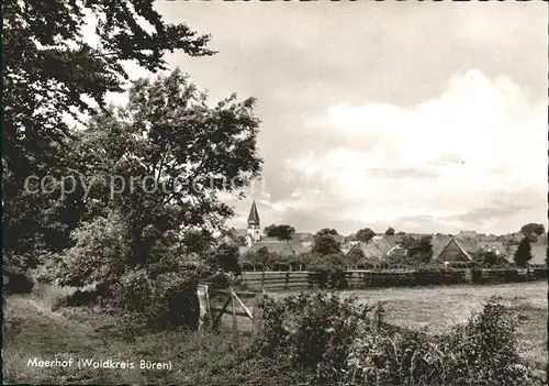 Meerhof  Kat. Marsberg