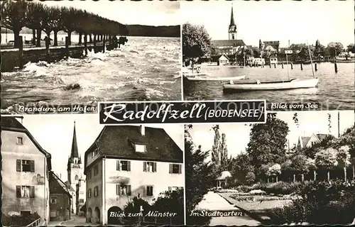 Radolfzell Bodensee Muenster Stadtgarten Hafen Kat. Radolfzell am Bodensee