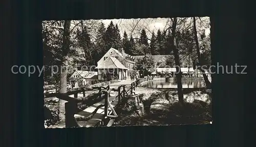 Leopoldstal Lippe Waldhotel Silbermuehle Kat. Horn Bad Meinberg