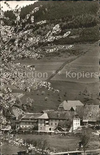 Obersimonswald Gasthaus zum Rebstock Kat. Simonswald