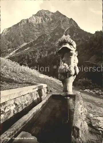 Reichenbach Oberstdorf Alpengasthaus Geisalpe Geisalpe  Brunnen Kat. Oberstdorf