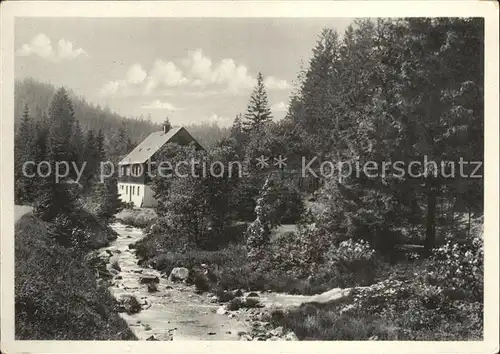 Waldbaerenburg Waldhaus  Kat. Altenberg