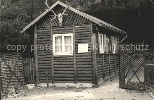 Waschleithe Natur  Wildpark Eingang Blockhaus  Kat. Beierfeld Erzgebirge