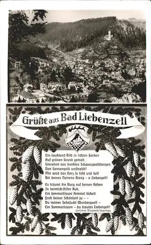 Bad Liebenzell Totalansicht mit Gedicht Kat. Bad Liebenzell
