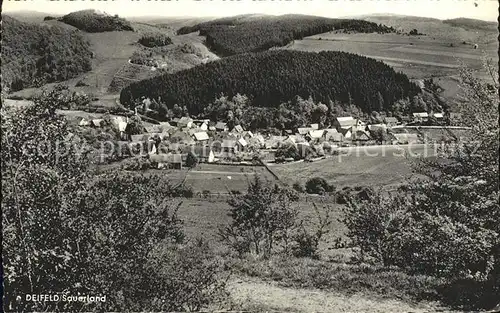 Deifeld Totalansicht Kat. Medebach