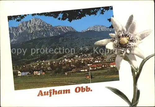 Aufham Anger mit Hochstaufen und Zwiesel Kat. Anger