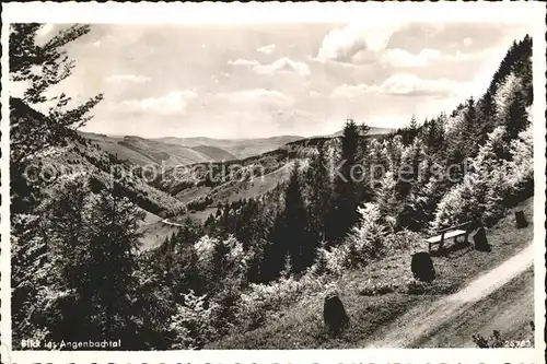 Haeg Ehrsberg Panorama Angenbachtal Schwarzwald Kat. Haeg Ehrsberg