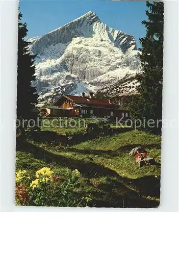 Garmisch Partenkirchen Kreuzalm gegen Alpspitze Alpfenflora Kat. Garmisch Partenkirchen