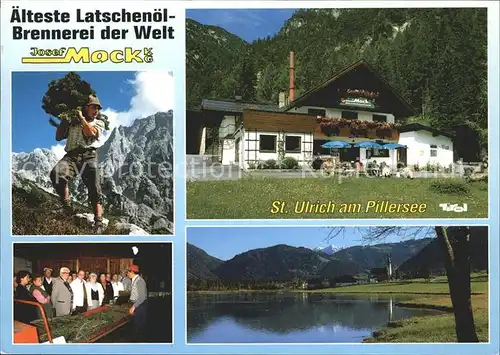 St Ulrich Pillersee Latschenoel Brennerei Josef Mock Ernte Vorfuehrung Seepartie Kat. St. Ulrich am Pillersee