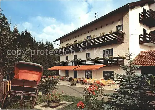 Treffelstein Hotel Restaurant Katharinenhof Terrasse Alte Kutsche Kat. Treffelstein