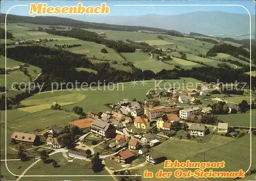 Miesenbach Birkfeld Fliegeraufnahme Kat. Miesenbach bei Birkfeld