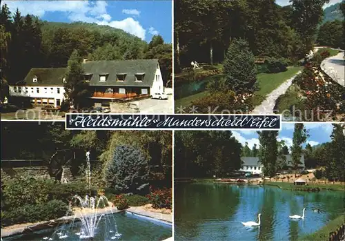 Manderscheid Eifel Hotel Restaurant Heidsmuehle Park Springbrunnen Schwanenteich / Manderscheid /Bernkastel-Wittlich LKR