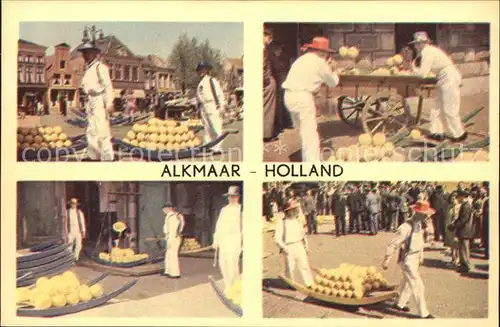 Alkmaar Melonen Kat. Alkmaar