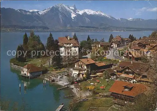 Gunten am Thunersee Stockhornkette Kat. Gunten