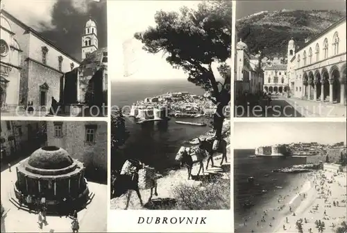 Dubrovnik Ragusa Kirche Tempel Inselblick Esel Strand Kat. Dubrovnik