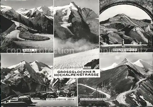 Grossglockner Hochalpenstrasse Kehre 6 Edelweiss Spitze Fuschertoerl Kat. Heiligenblut