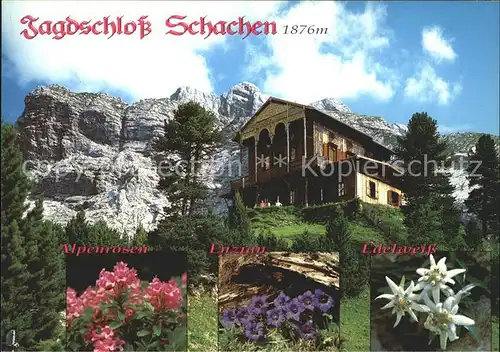 Schachen Garmisch Jagdschloss Alpenrosen Enzian Edelweiss Huber Karte Nr. 8126 Kat. Garmisch Partenkirchen