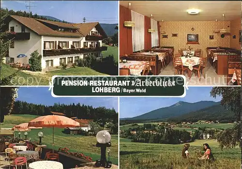Lohberg Lam Pension Restaurant Arberblick Terrasse Panorama Bayerischer Wald / Lohberg /Cham LKR