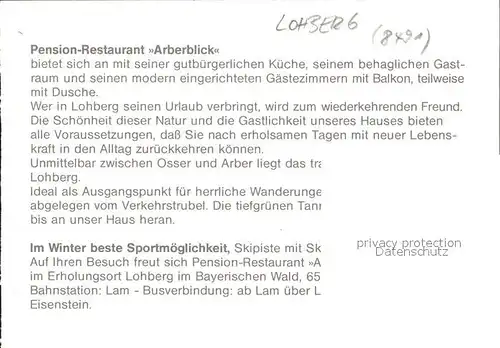 Lohberg Lam Pension Restaurant Arberblick Terrasse Panorama Bayerischer Wald / Lohberg /Cham LKR