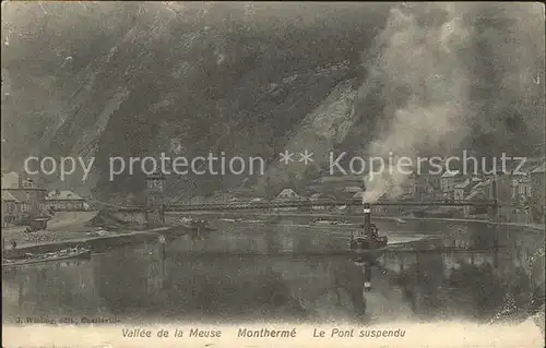Montherme Vallee de la Meuse Pont suspendu Kat. Montherme