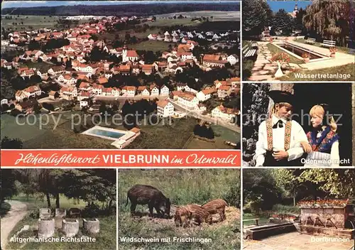 Vielbrunn Wasserretanlage Tracht Dorfbrunnen Wildschwein Frischlingen  Kat. Michelstadt