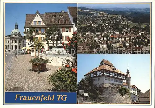 Frauenfeld Schloss Brunnen Fliegeraufnahme Kat. Frauenfeld