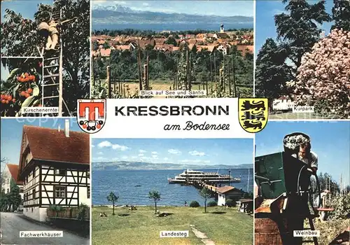 Kressbronn Bodensee Kurpark Weinbau Saentis Landesteg Fachwerkhaeuser  Kat. Kressbronn am Bodensee